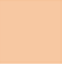 DREAM COVER - BASE MAQUILLAJE MATTE