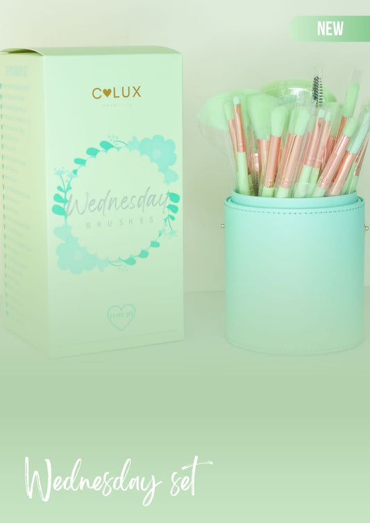 WEDNESDAY BRUSH SET C LUX 24 PCS- SET BROCHAS